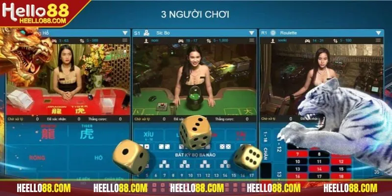 Đặt cược theo chu kỳ trong cách chơi rồng hổ