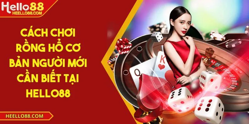 Cách chơi rồng hổ cơ bản người mới cần biết tại Hello88