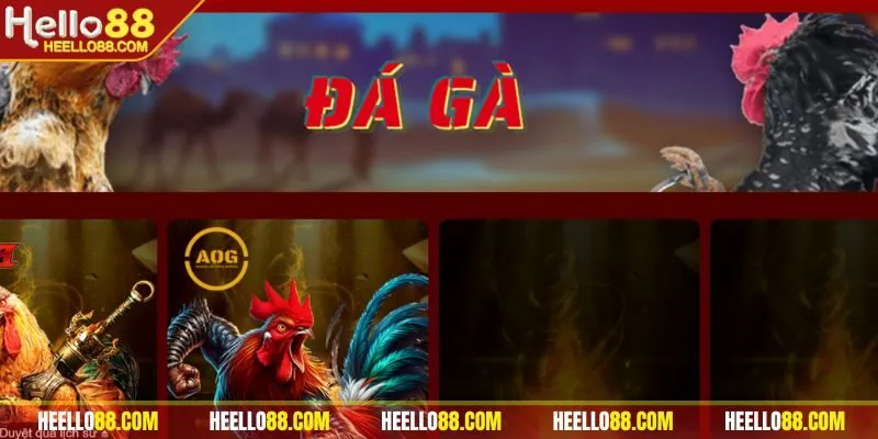 Đá gà Hello88 - Đỉnh cao cơ hội lớn đổi vận