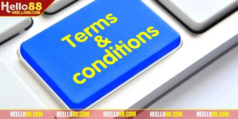 Tìm hiểu sơ lược những điều khoản điều kiện Hello88