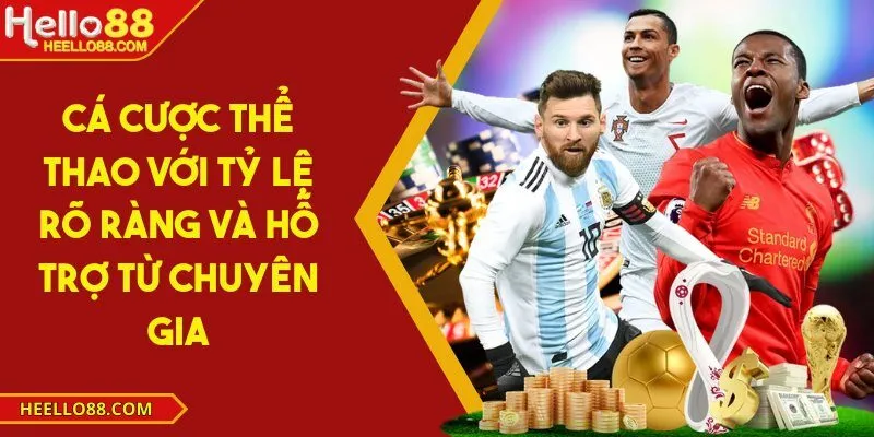 Cá cược thể thao với tỷ lệ rõ ràng và hỗ trợ từ chuyên gia